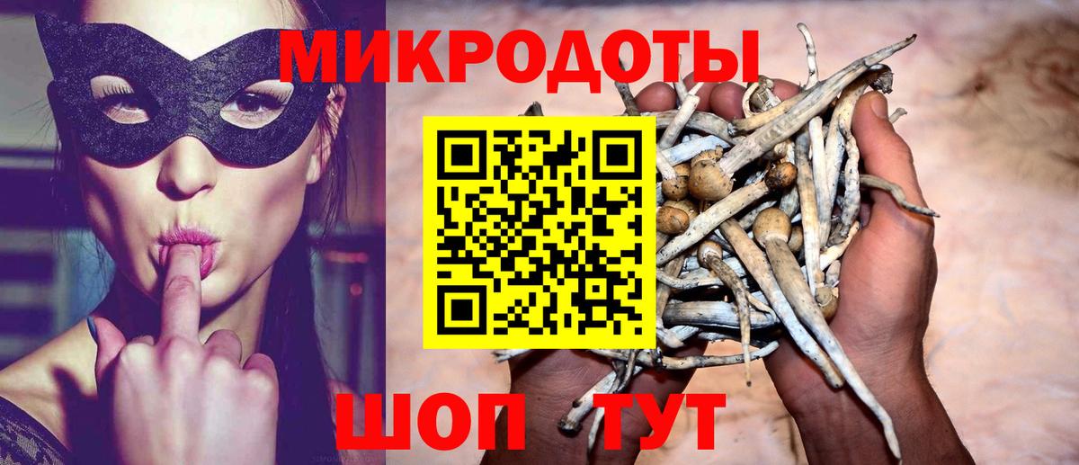 Кандалакша  Галлюциногенные грибы Cubensis  Вход с VPN 