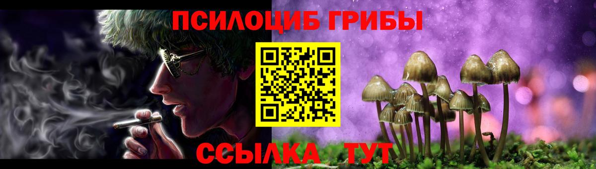 Галлюциногенные грибы мицелий Кандалакша